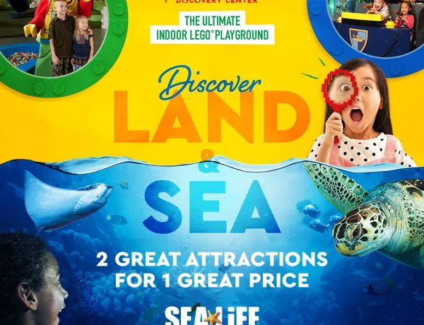 1.1 2022 Creative SEA LIFE & LEGO CLUSTER WEB 1200W X 1200H