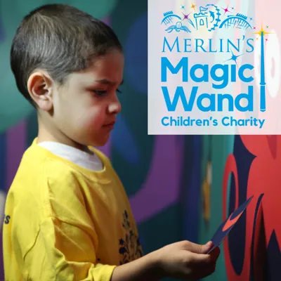 Merlin's Magic Wand