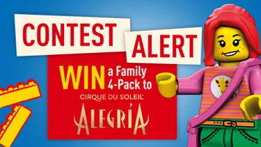 Social Contest Cirque